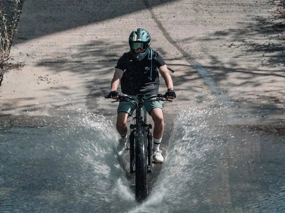 11_478a7c10-c623-4c6e-bf28-94f78bba2904_1