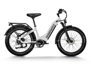 D5 ST(Zebra ST) / All-terrain Electric Fat Bike