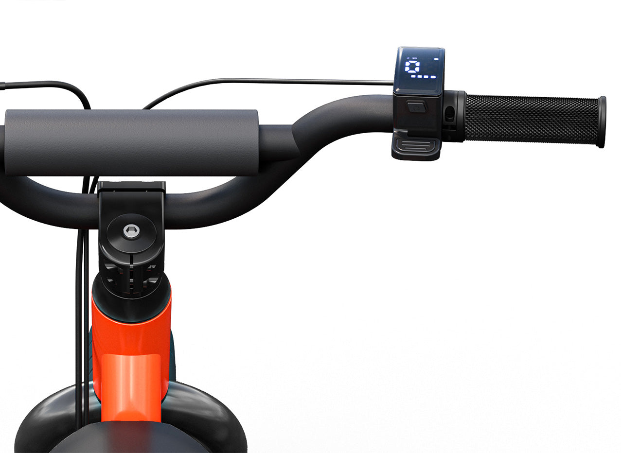 C1-description-display