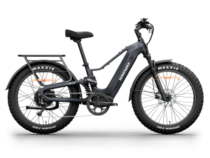 Himiway D5<sup> 2.0</sup> eBike