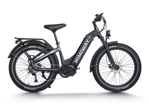 D5 Pro ST / All-terrain Electric Fat Bike