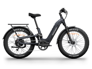 Himiway D5 <sup> 2.0</sup> ST eBike