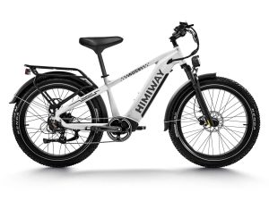 D5(Zebra) / All-terrain Electric Fat Bike