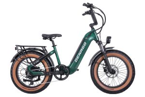 Hi Roller Step-thru eBike