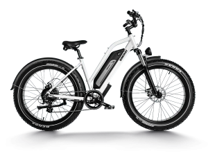 D3 ST(Cruiser ST) / All Terrain Electric Bike
