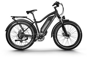 D3(Cruiser) / Long Range Fat Tire Electric Bike