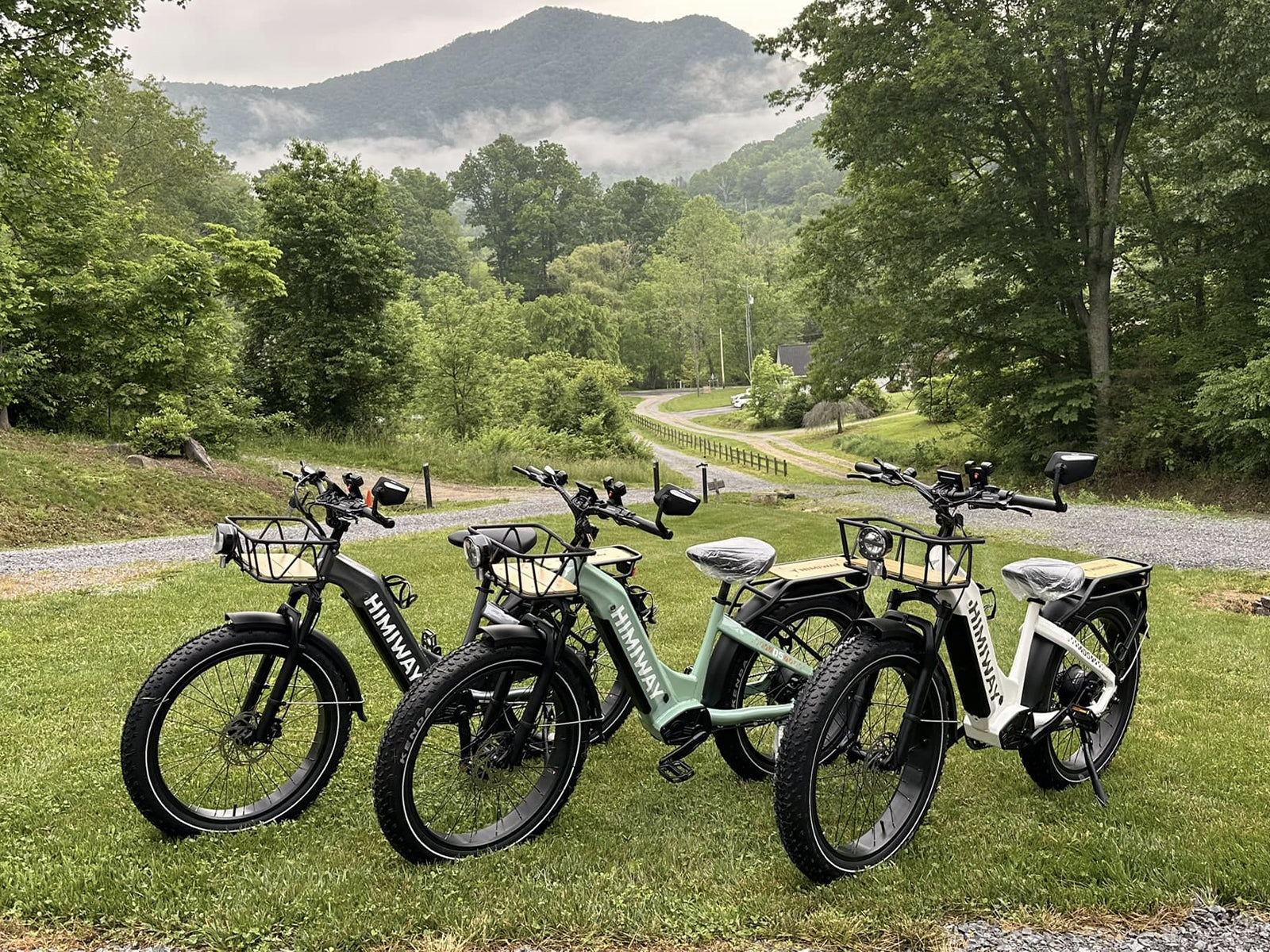 d5_334a4fe6-18b2-41c4-801d-a26a4cc8a4c7