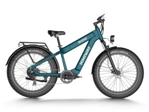 D5 Plus(Rhino) / Dual Battery Off-road Electric Bike