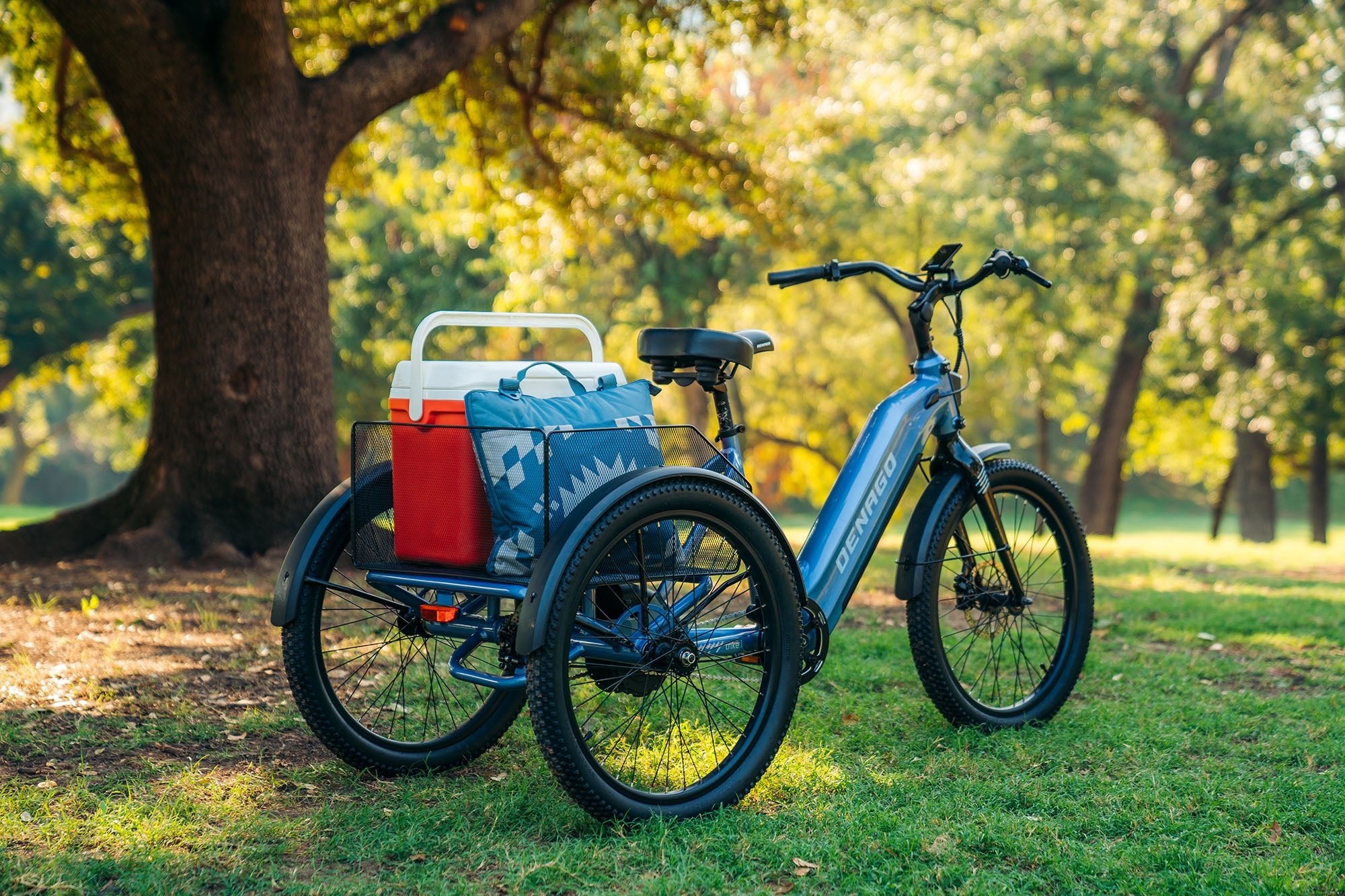 trike_lifestyle3-427013